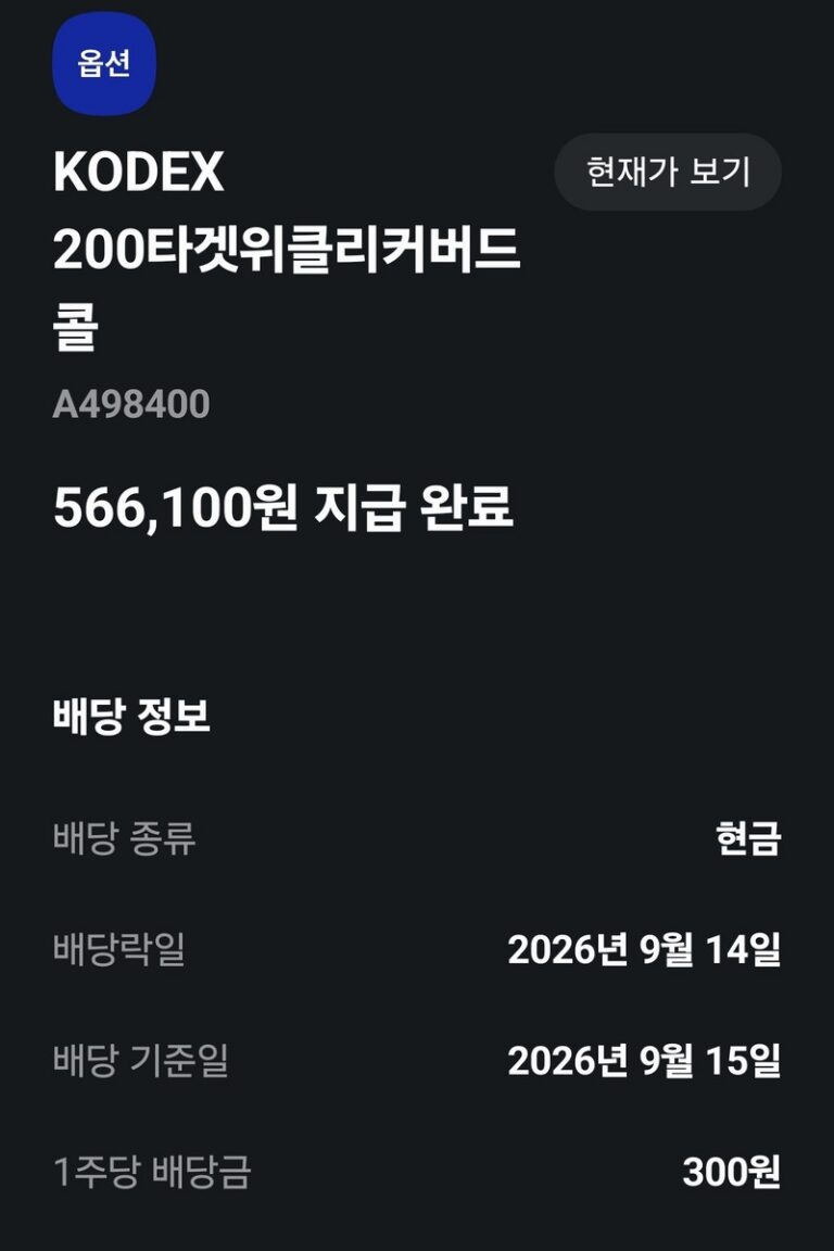 9월 17일 적립식 투자 기록 (국내ETF)